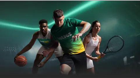 中超球队亚冠征程八强落幕：上海申花挥手，2025年3月14日揭晓战果